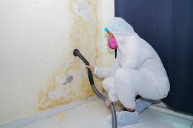 Best Biohazard Mold Removal  in Surf City, NJ